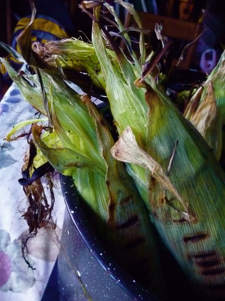 corn 1